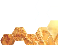 Agricultural biotechnology key image
