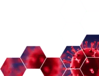 Pandemic preparedness and management key image