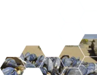 Food from the oceans key image