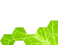 Sustainable food consumption