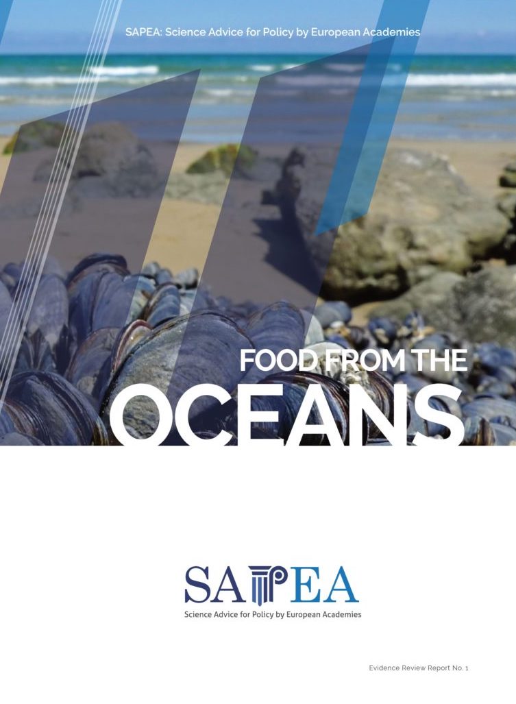 Cover of ERR: food from the oceans