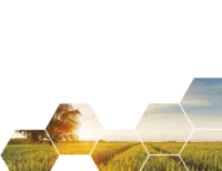 Plant protection products key image