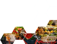 Sustainable food system key image