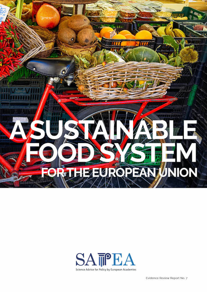 Sustainable food system ER cover